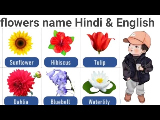 Flowers Name Matching Flower With