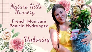 Unboxing the Hydrangea That Looks Like a French Manicure
