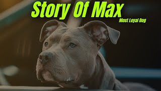 You Won't Believe What This Pitbull Did to Save His Owner Life 😲 ... by Dogs Junction 125 views 1 year ago 3 minutes, 36 seconds