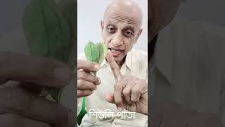 🌼 শিউলি ফুলেই জ্বরের প্রাকৃতিক সমাধান! দাদুর অবিশ্বাস্য টিপস 💫# প্রাকৃতিক উপায়ে # জ্বর