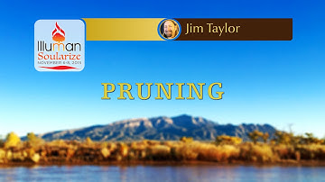 Illuman Soularize 2015: Pruning by Pastor Jim Taylor
