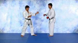 Machida side kick.avi