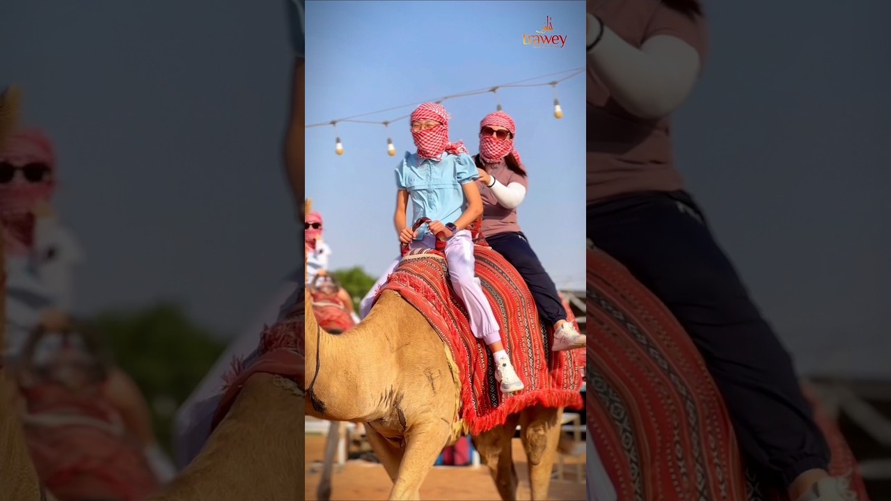 Dubai Desert Safari Adventure | Trawey Tours 🐪 | Best Desert Safari Experience in Dubai