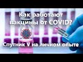 Вакцинироваться ли Спутником V? Опыт, доказательства и альтернативы.