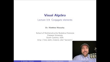 Visual Algebra, Lecture 3.9: Conjugate elements