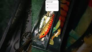 ryby  #chill #music #youtubeshorts #youngmulti #wybijsie #dlaciebie #tritsus #cat #memes #sunrise