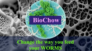 REVOLUTIONIZE Worm Nutrition with DIY BioChow: The Formula to LARGE and Healthy Worms