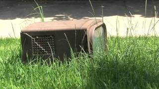 Stuart Collection at UCSD: Nam June Paik