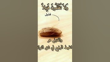 @-8303 الفرق بين الفتيل والنقير والقطمير فى القرآن الكريم