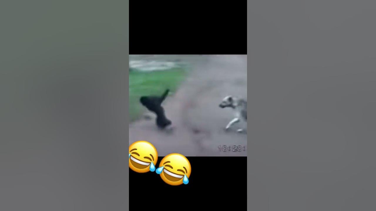 хеликотер - YouTube