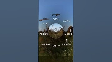 What happens if you stop moving in #gaming Dayz? #2025 #like