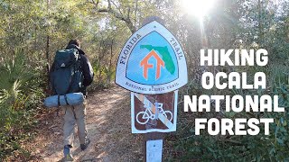 Exploring Ocala National Forest | 65 miles of the Florida Trail