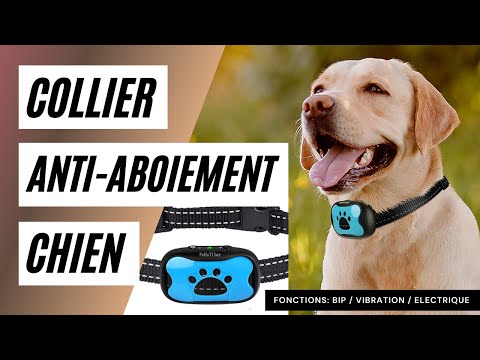 Vidéo: Avantages et inconvénients des dispositifs d'aboiement pour chiens
