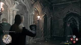 Hogwarts Legacy ps4 insane magic 8/16/2026