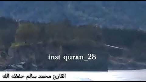القارئ محمد سالم الوصابي