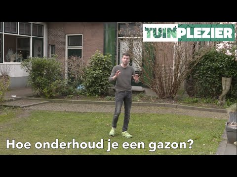 Hoe onderhoud je een gazon? | Tuinplezier