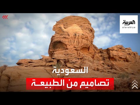 دراسة منحوتات الجمال الصخرية بالسعودية تعود للعصر الحجري 