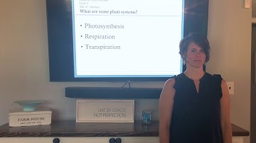 CC1 Wk 12 - Science Plant Systems
