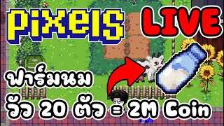 [ LIVE ] Pixel ( Game NFT ) สูตรเช่าแลนด์ดีมากๆ  EP.145