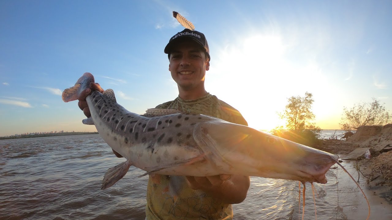 INCREIBLE PESCA!! Pescando de Costa Sacamos de Todo! Salio el Suru y Mucho Mas!