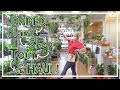 Loaded Houseplant Shop Tour & Exciting Haul!! Lets Go Plant Shopping!