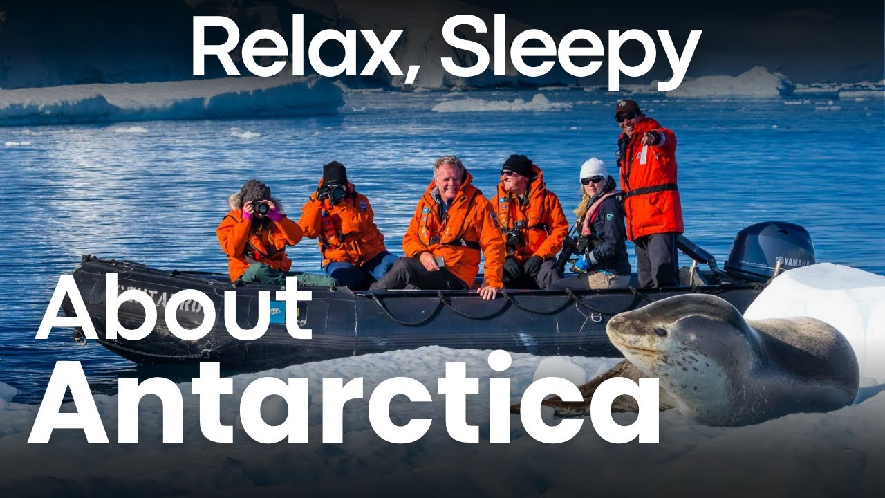 The Silent Secrets of Antarctica, Calm Facts for Peaceful Sleep | Sleepy Spectrum