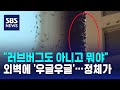 &#39;우글우글&#39; 극한 공포…아파트 외벽 뒤덮은 &#39;이것&#39; 정체 / SBS / 오클릭