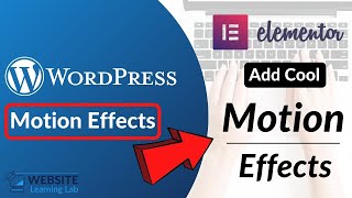 Adding Motions and Effects on elements in Elementor