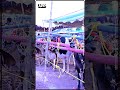 Eid Ul Adha | Qurbani | Cattle Market | Maweshi Mandi | Eid Preparations