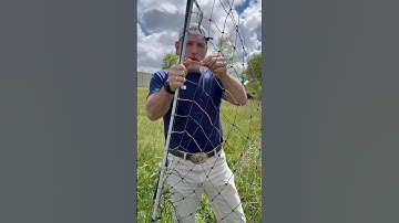 How to use electric net #farming #sheep #chickens #goats using electric fence