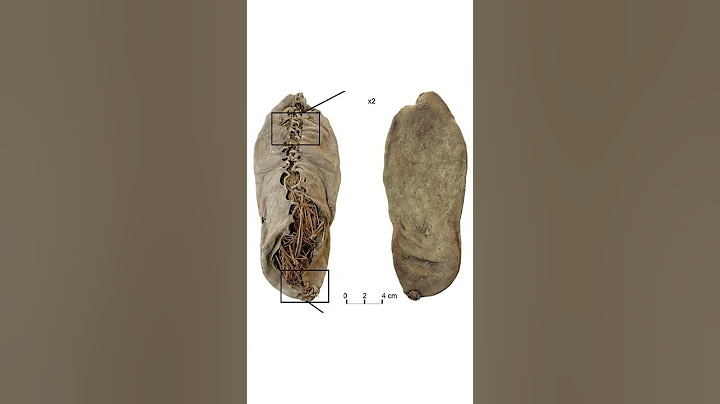 Balenciagas Destroyed Shoes cost over 1000€