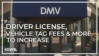 Higher DMV fees to start Jan. 1