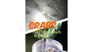 Ohh my Crabs , halfmoon beach -  Al Khobar @WTFwill2fight