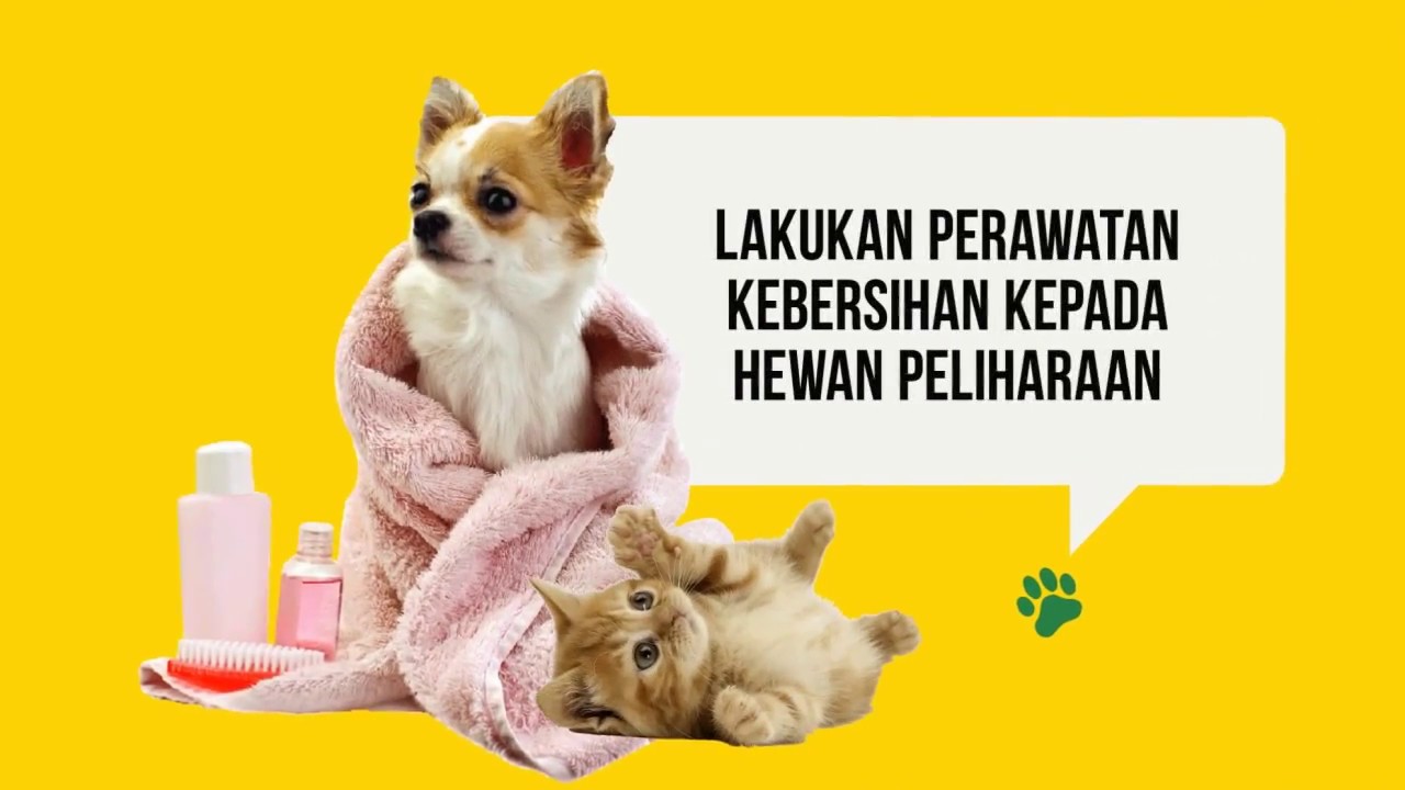 Desa Ramah Anjing: Mengelola Populasi Hewan Peliharaan secara Bertanggung Jawab