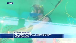 Sally Pitts swims with sharks at Alabama National Fair