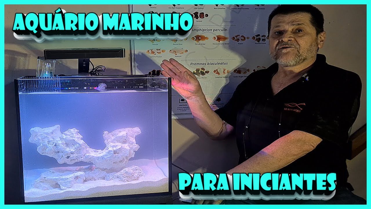 MONTAGEM DE AQUÁRIO MARINHO PARA INICIANTES