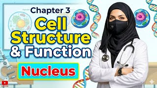 “Class 11 Biology 🔬 | Cell Structure &amp; Function | Nucleus Explained (Chapter 3)”