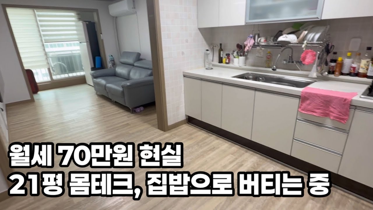 초집중 해서 돈 모으는 4인 가구  집밥 도시락 싸며 돈 모으기 집중 | 봄동 비빔밥 | 김밥 말고 토스트 해 먹기