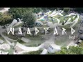 WOODYARD TRAILS JAM 2019 | DIG BMX