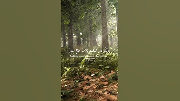 ولا تقولا لشيا اني فاعل ذالك غدا #سوره#قرأن#تعلم#تدبر#الله