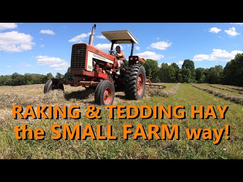 Video: Tractor rakes for hay making