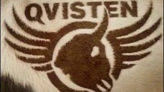 Qvisten