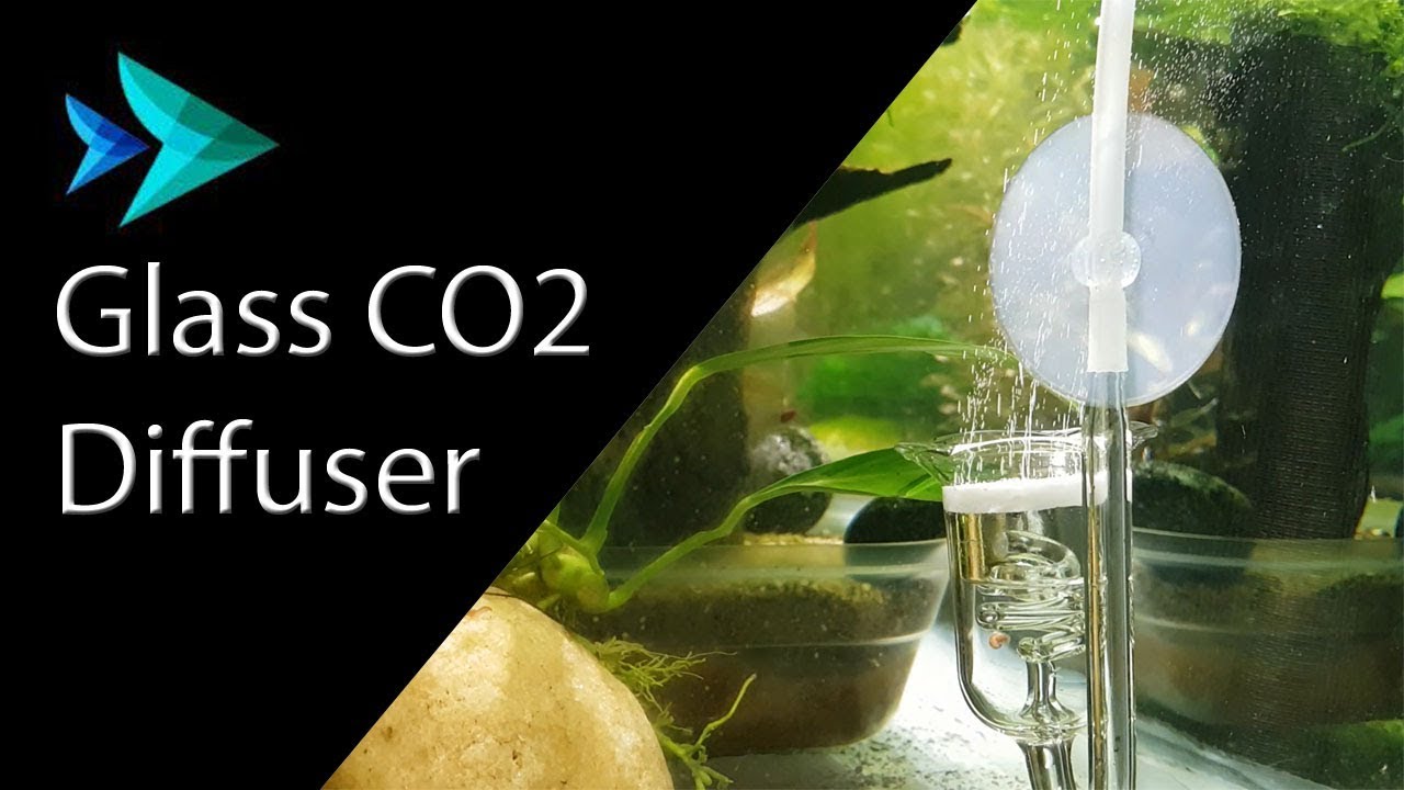 glass co2 diffuser installation