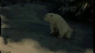 fleet foxes - grown ocean (slowed + reverb)