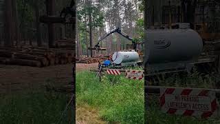 Isnt The Sound Of This Log Falling Oddly Unsatisfying?