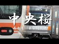 中央桜 名古屋 東京ALL LONG Ver 中央桜 名古屋 東京ALL LONG Ver