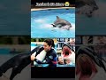 Jessica#🐬 dolphin#🐬 interested🐬
