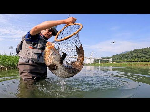 (Carp On The Fly <strong>잉어</strong> 플라이 낚시)