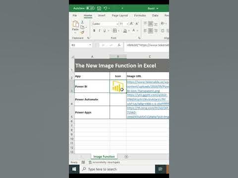 The New IMAGE Function in Microsoft Excel || Insert Image in Cells in ...