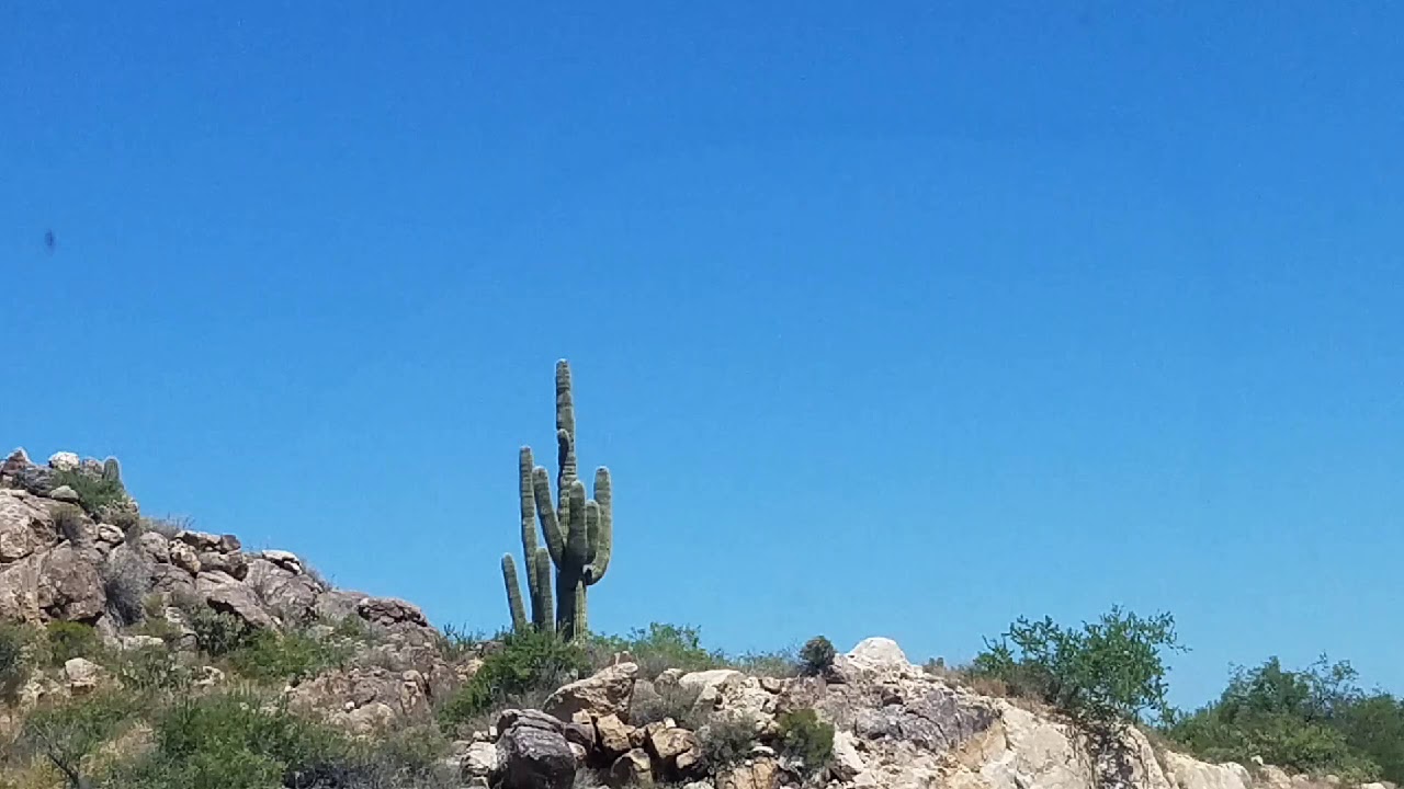 The Road To Baghdad, AZ YouTube